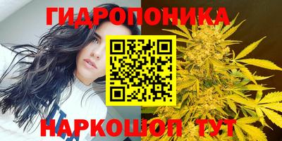 прущие грибы Балашиха