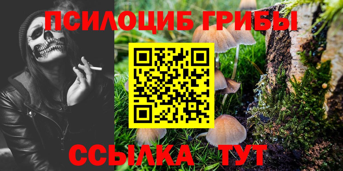 Галлюциногенные грибы GOLDEN TEACHER  Вход с VPN  Ульяновск  Псилоцибиновые грибы Psilocybine cubensis 