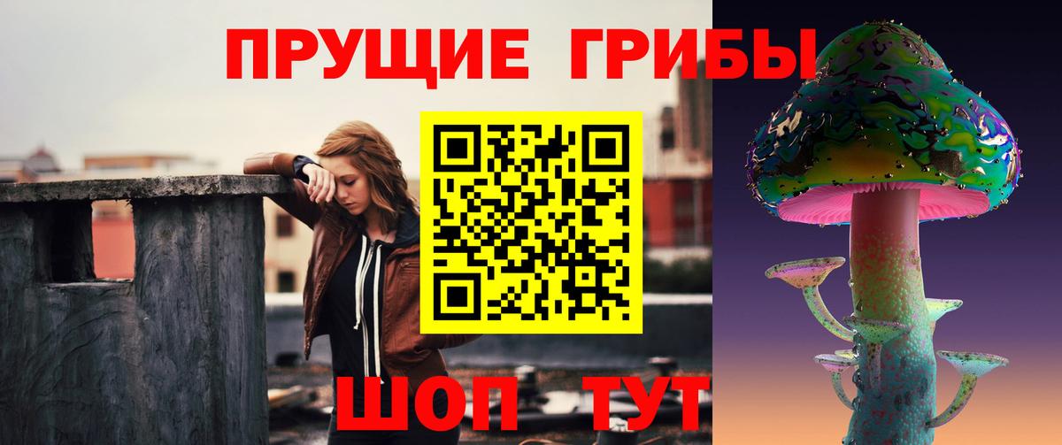 Псилоцибиновые грибы прущие грибы Ульяновск